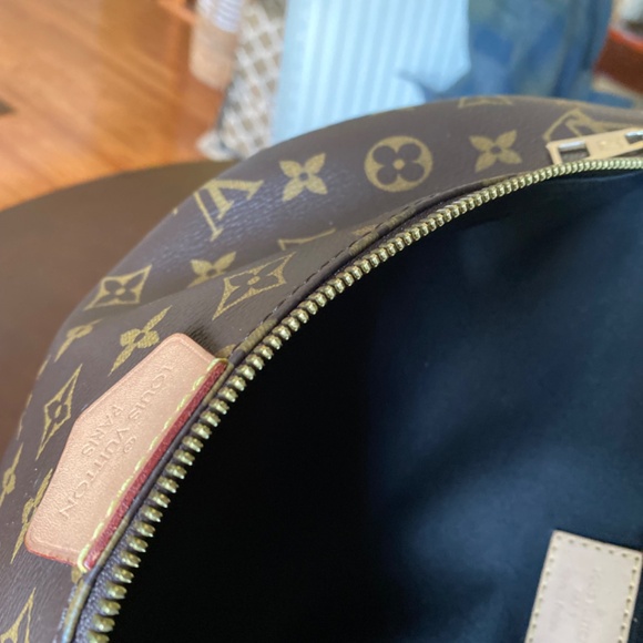Louis Vuitton Bumbag - Picture 4 of 14